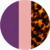 Purple / Blush / tortoise