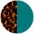 Tortoise/Teal
