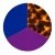 Blue/Tortoise/Purple